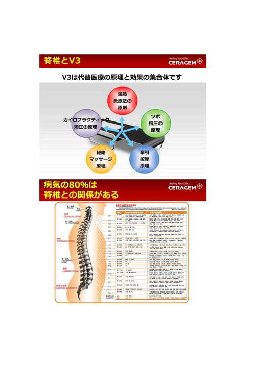 脊椎カイロプラクター - 健康案内人／ヘルスケアコンシェルジュ